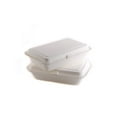 400 Count Biodegradable 9x9 Take Out Food Containers with Clamshell