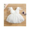 thumbnail image 2 of TSEXIEFOOFU Baby Girl's Romper, Sleeveless Feather Tassel Decorated Lace Embroidered One Piece Romper Dress, 2 of 9