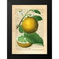 thumbnail image 2 of Dellal, Remy 18x24 Black Modern Framed Museum Art Print Titled - Grapefruit- After Redoute, 2 of 5