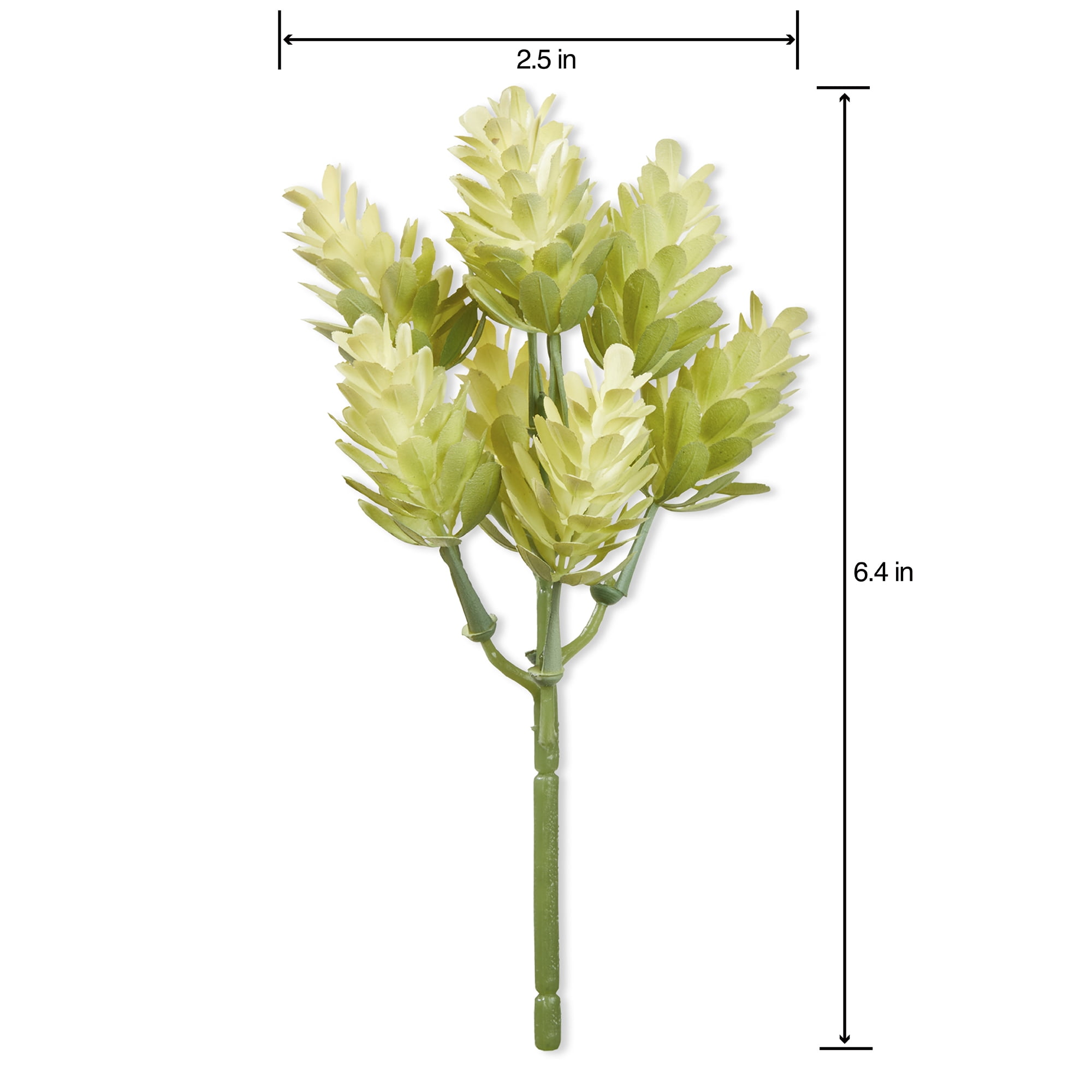 Mainstays Artificial Hops Pick 2.5 Inch x 6.4 Inch Cream