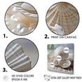 thumbnail image 3 of Designart "Pure Shell Simplicity II" Seashell Floater Framed Canvas Prints, 3 of 5