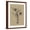 Brown Frame, variant on Art.com Botanical Sketch Black and White III Art Print by Ethan Harper, 12" x 16"