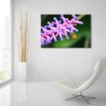 thumbnail image 6 of Epic Art 'Mine' by Dana Brett Munach, Acrylic Glass Wall Art, 36"x24", 6 of 8