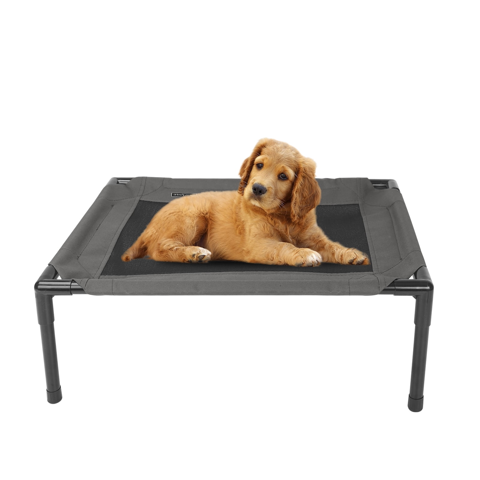 elevated dog bed walmart