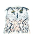 thumbnail image 2 of Vess, June Erica 20x24 White Modern Wood Framed Museum Art Print Titled - Funky Owl Portrait II, 2 of 4
