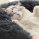 thumbnail image 5 of Cama para gatos, perro de peluche súper suave, cómodo, encantador colchón extraíble, lavable, hermosa cama redonda de felpa para mascotas, gato, perro, gatito, 5 of 5