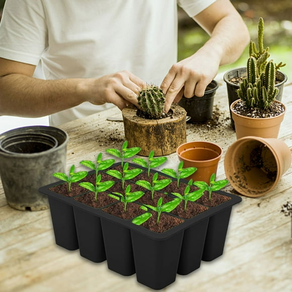 Campana Para Cocina Seed Start Tray Seed Start Kit Seed Starting Trays Plant Start Kit And Base Mini Greenhouse Germination Kit For Seed Growing Starting