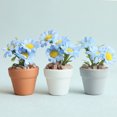 thumbnail image 3 of Kripyery Decorative Ceramic Pot Miniature Flower - 1:6/1:8 Mini Potted Plant: Realistic Decorative Ceramic Pot Doll House Simulation Potted Flower Ornament for Micro Landscape, 3 of 8
