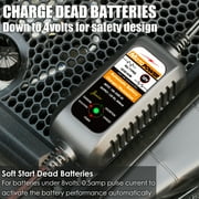 MOTOPOWER 12V 800mA Fully Automatic Battery Charger Battery Maintainer Trickle Charger Desulfator