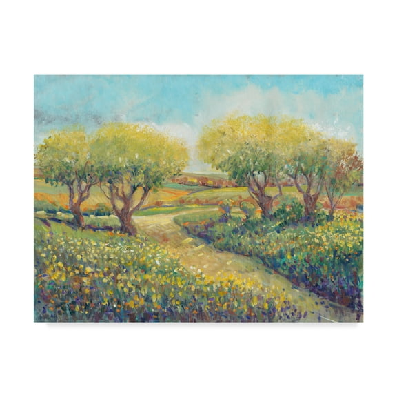 Trademark Fine Art 'Garden Path II' Canvas Art by Tim OToole