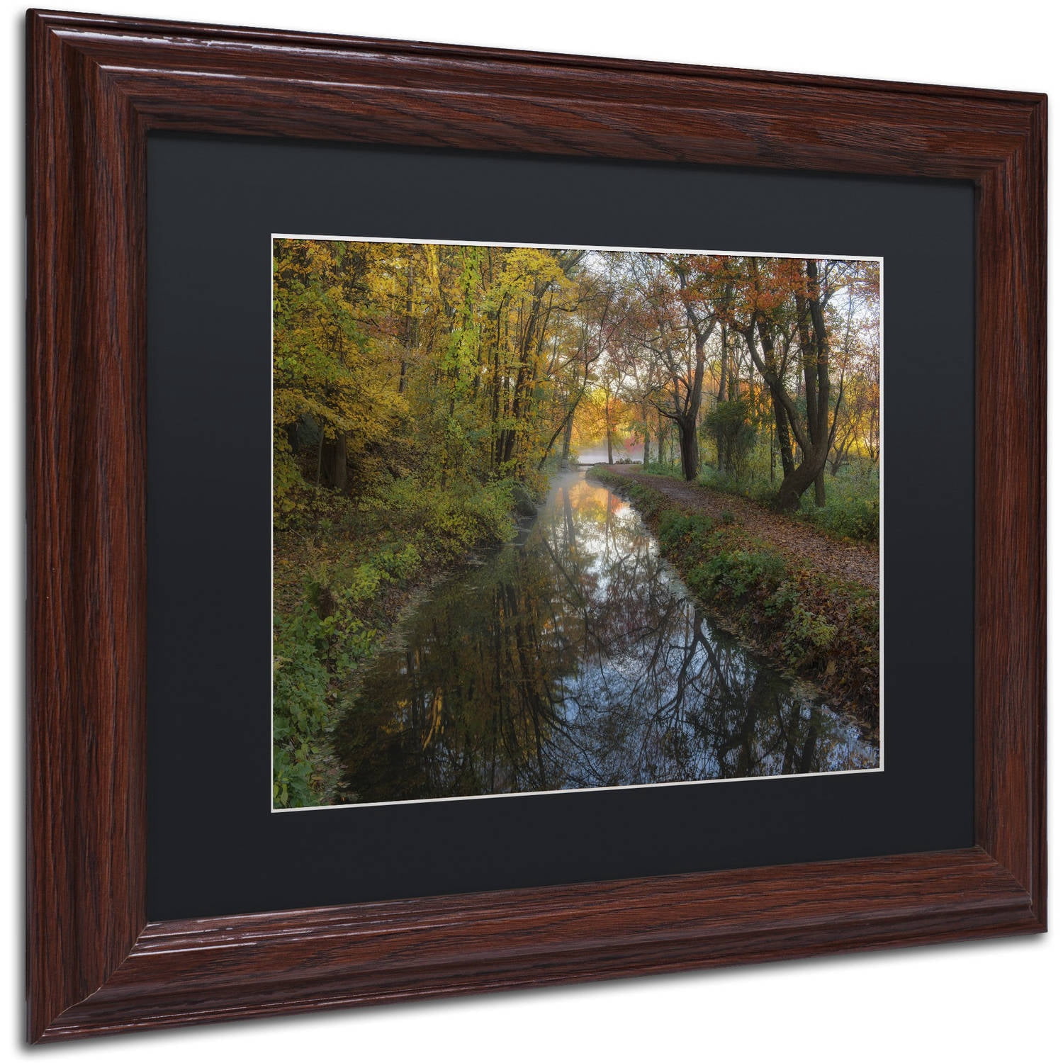 Trademark Fine Art 'Take me to the Pond' Canvas Art by Michael Blanchette Photography, Black Matte, Wood Frame