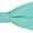 Aqua, variant on Jacob Alexander Men's Pre-Tied Banded Adjustable Solid Color Bow Tie - Dusty Rose