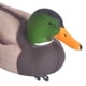 thumbnail image 2 of Modelo de pato realista, modelo ligero de pato de espuma EVA para caza, pesca y tiro, 2 of 7