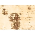 thumbnail image 1 of Ahgly Company Indoor Rectangle Abstract Brown Modern Area Rugs, 6' x 9', 1 of 4