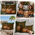 thumbnail image 5 of Orange Pumpkin Outdoor Waterproof Pillow Covers, Green Fall Thanksgiving Paisley Autumn Decorative Rectangle Throw Pillowcase Sofa Cushion Sham for Patio/Couch/Chair, 20"x12" 2 Pack, 5 of 8