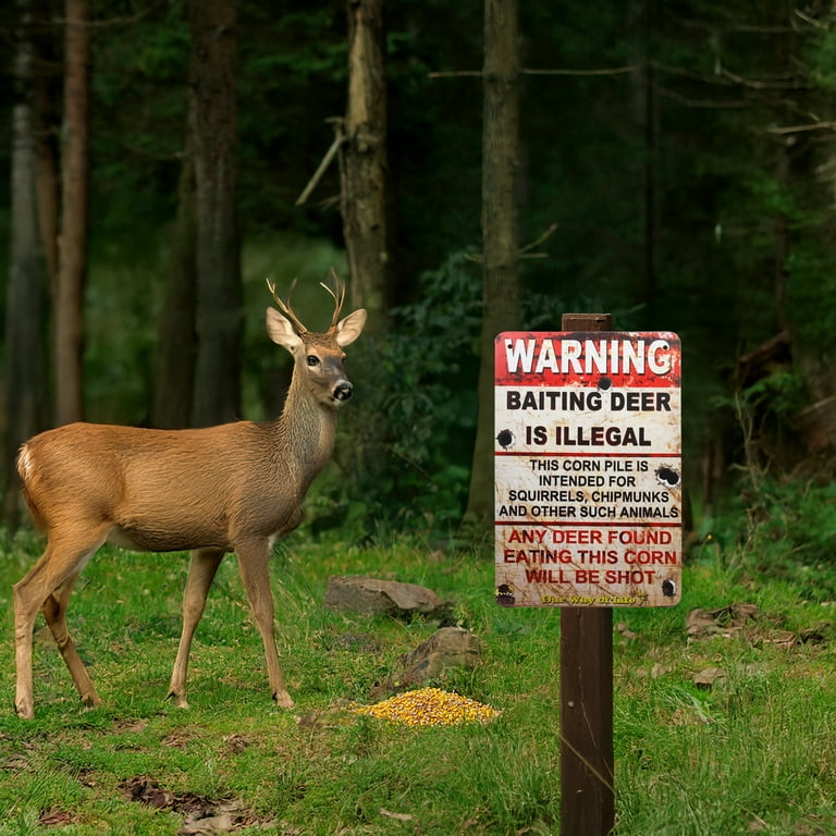Funny "Baiting Deer Is Illegal" Warning Sign - 12" X 8", Indoor/Outdoor, Rust Resistant, Made In USA 3 thumbnail image