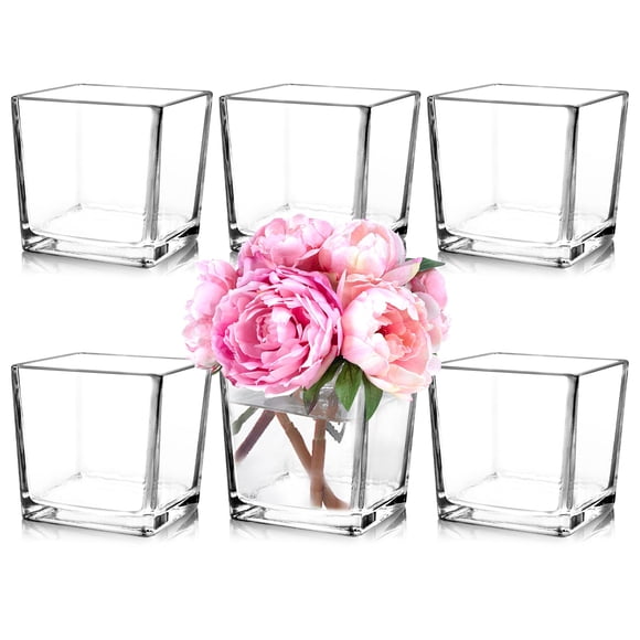 Set de jarrones de cristal Comrzor Square 12,7 x 12,7 x 12,7 cm, transparentes (6 unidades)