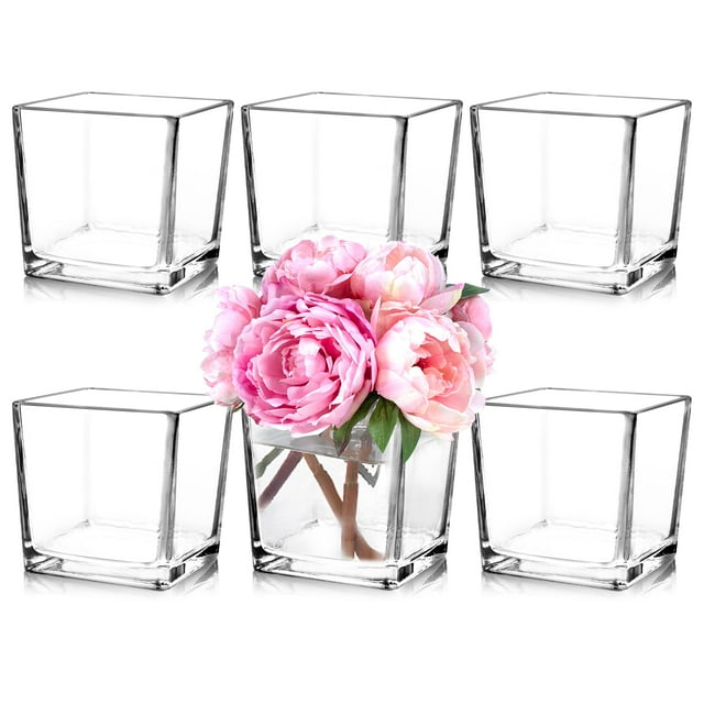 Set de jarrones de cristal Comrzor Square 12,7 x 12,7 x 12,7 cm, transparentes (6 unidades)
