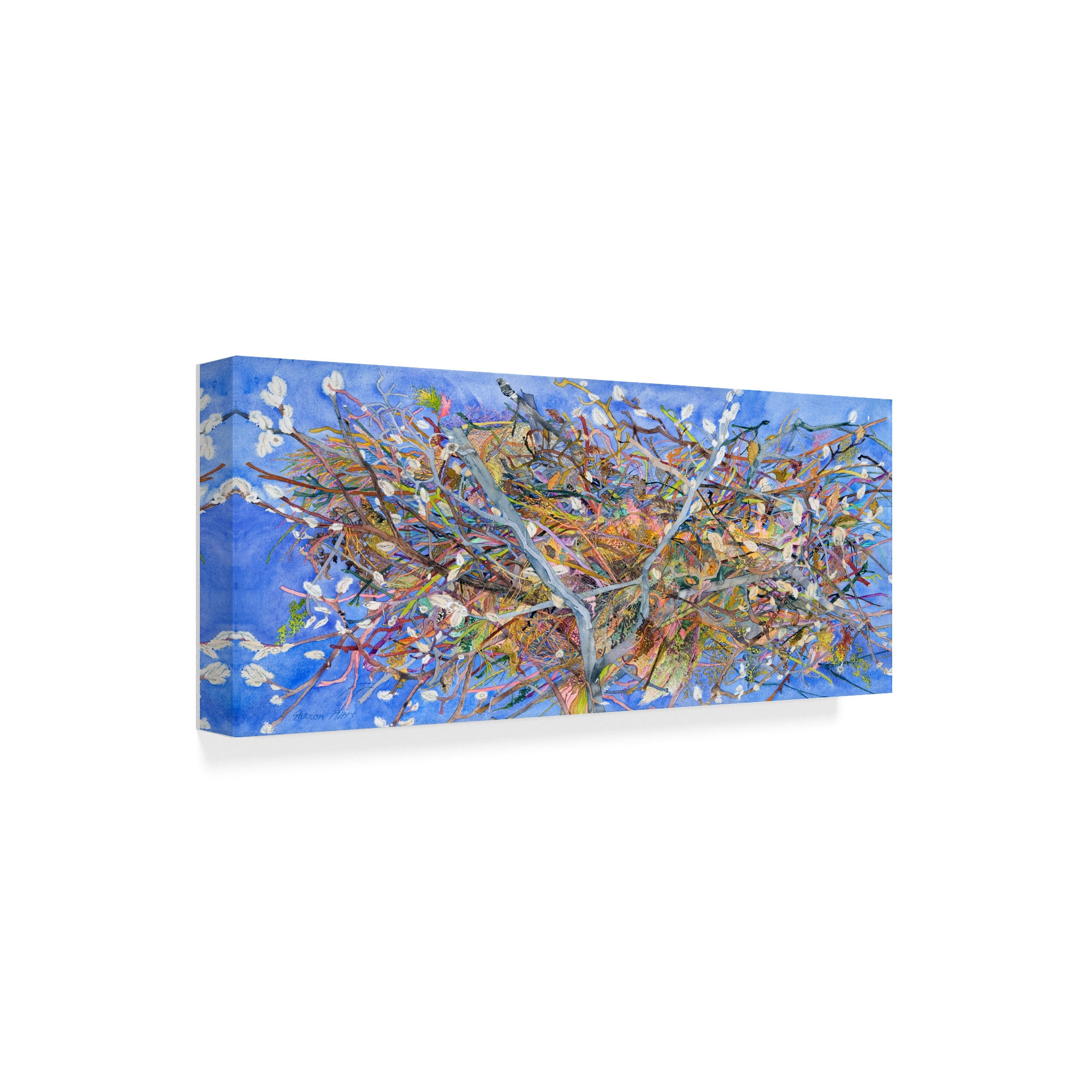 Trademark Fine Art 'Nest Birds' Canvas Art by Sharon Pitts