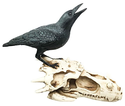 are crows scavengers are crows scavengers