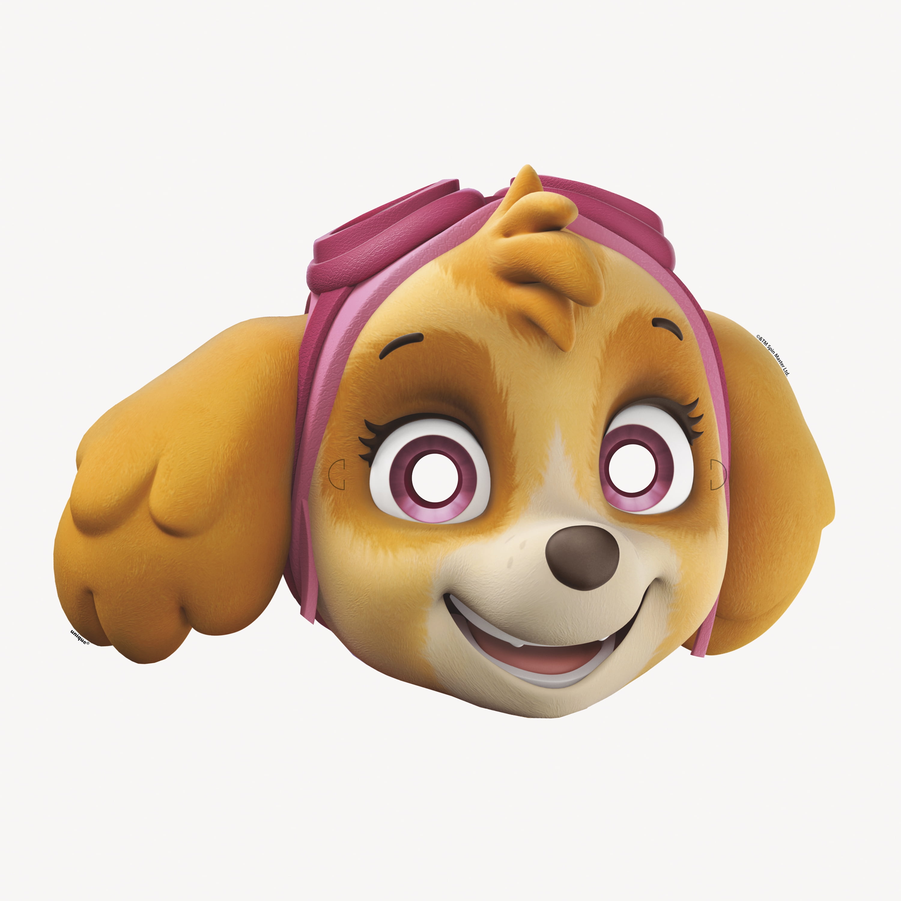 (2 pack) Multicolor PAW Patrol Party Masks, 8ct