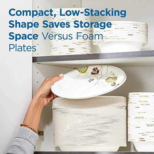 Dixie Light-Weight Paper Plates, 8.5", White, 125 Count (4 Pack)