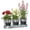 Natural, variant on 4W Indoor Metal Herb Garden Planter Set, 3 Pots with Tray and Chalkboard Labels, Green