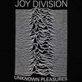 thumbnail image 2 of Joy Division Womens Unknown Pleasures T-Shirt, 2 of 2