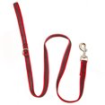 thumbnail image 1 of Dog collar and leash set, bright collar nylon and matching leash with cute fruit pattern, 1 of 5