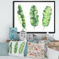 thumbnail image 2 of Designart 'Tropical Banana Leaves Set On White' Farmhouse Framed Canvas Wall Art Print, 2 of 5