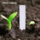 thumbnail image 1 of Etiquetas para plantas, 100 unidades de etiquetas de plástico para plantas, etiquetas para macetas, diseñadas para profesionales Jadeshay A, 1 of 8