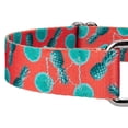 thumbnail image 4 of Country Brook Petz® Tropical Tango Martingale Dog Collar and Leash, 2XS, 4 of 6