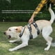 thumbnail image 4 of Explosionproof Big Dogs Harness with Handle for Large Dog, Blue, M, 4 of 5