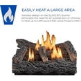 thumbnail image 3 of Duluth Forge Ventless Natural Gas Log Set - 21 in. Winter Oak, 32,000 BTU, T-Stat Control - Model# DLS-N22T, 3 of 9