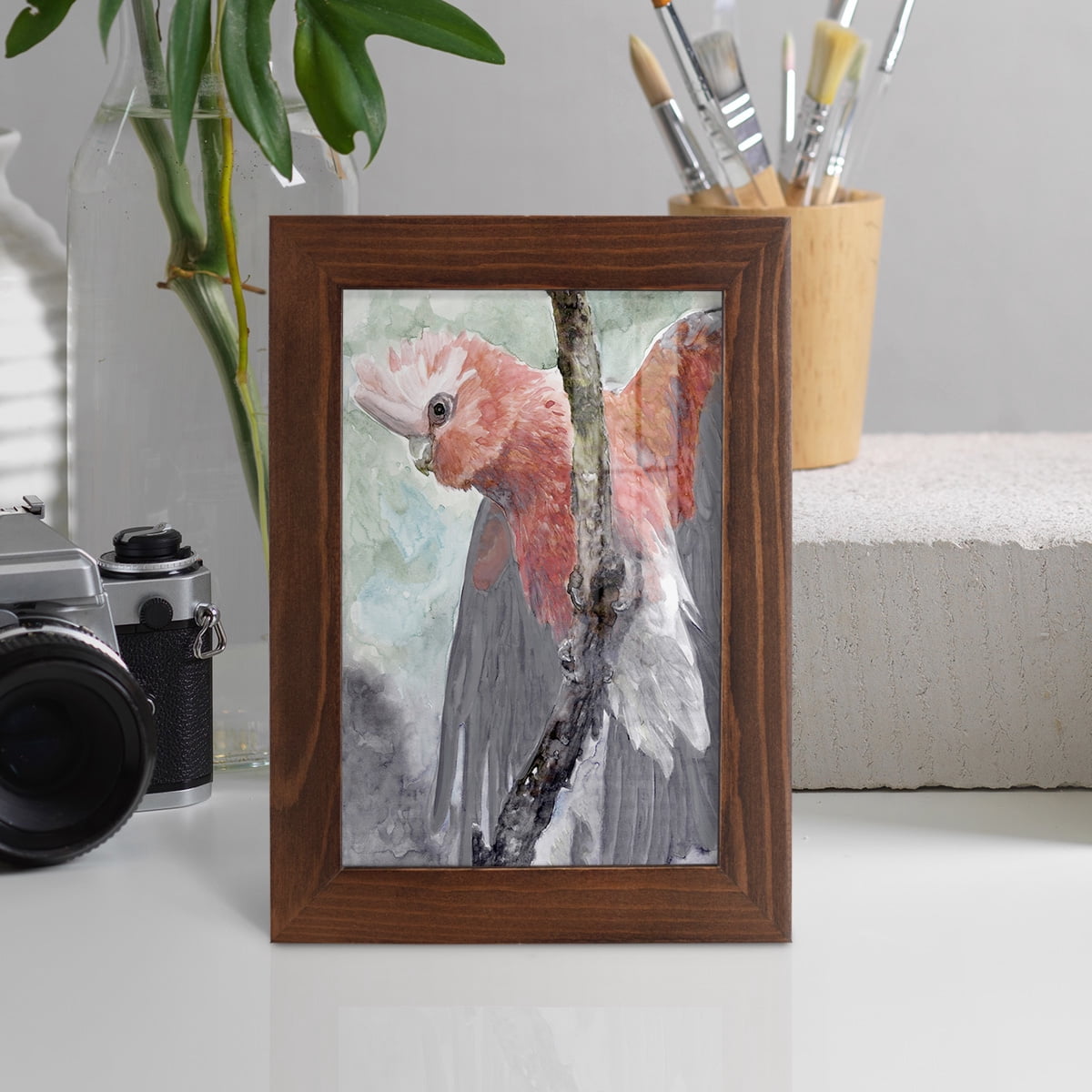 Tropic Parrot II - Framed Print w/glass - Chestnut