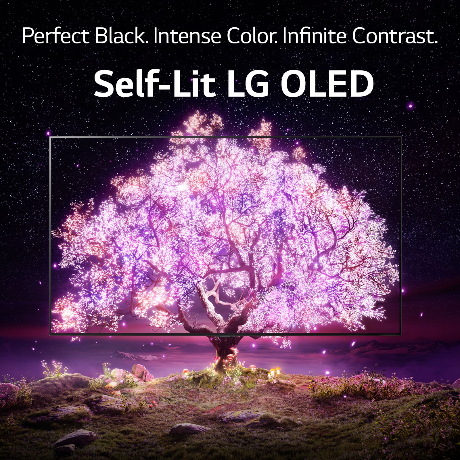 Lg Oled C1 48 Купить