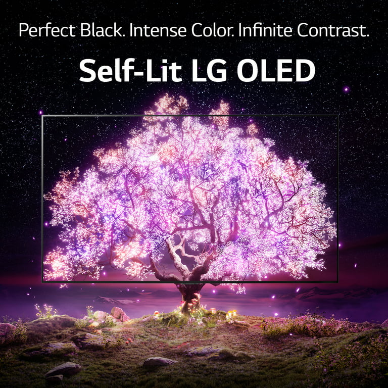 LG OLED 55 A1 4K Smart TV con ThinQ AI(Inteligencia Artificial