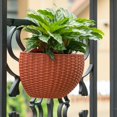 thumbnail image 3 of D-GROEE Wall Planter Pots Outdoor Use Plastic, Small Wall Mounted Flowers Plant Basket for Home Garden Porch Balcony Kitchen Wall Decoration, 3 of 7