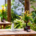 thumbnail image 4 of Great promotion! Home Flower Pot Decorations, Parody Of Potted Resin Crafts, Bedroom And Courtyard Decorations, 4 of 5