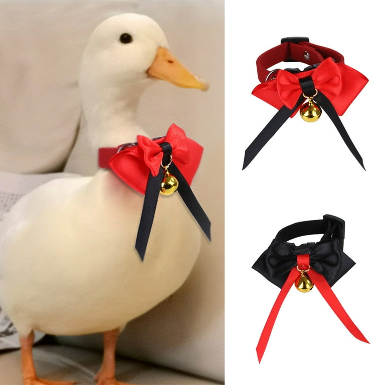 Duck collar store