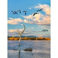 thumbnail image 2 of Fitzharris, Tim 11x14 Black Ornate Wood Framed with Double Matting Museum Art Print Titled - Snow Geese-Bosque del Apache National Wildlife Refuge-New Mexico III, 2 of 4