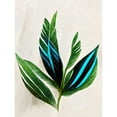 thumbnail image 1 of Tropical Plant Feathery Leaves Green Turquoise Simple Botanical Illustration Unframed Wall Art Print Poster Home Decor Premium, 1 of 4