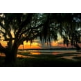 thumbnail image 2 of Mikaels, Natalie 32x23 White Modern Wood Framed Museum Art Print Titled - Savannah Evening, 2 of 4