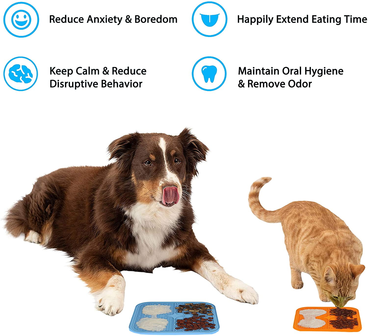 best treatment for dog anxiety