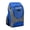 Royal, variant on Dugout Backpack Equipment Bag | Baseball & Softball | Black