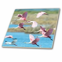 3dRose, USA, Florida, Merritt Island, NWR, Roseate Spoonbills , 6 Inch Ceramic Tile