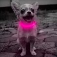 thumbnail image 5 of Collar con luz LED recargable para perros Collar con luz reflectante ajustable 7bfnuL5zuJt, 5 of 5