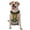 With Accessories, variant on Naloa Camping 1 Pet Harness Vest with Traction Rope, Adjustable No-Choke Dog Vest for Outdoor, Walking - X-Large