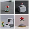 thumbnail image 4 of Rose Flower in Glass Dome Decorative Preserved Flower Adornment with Gift Box, 4 of 6