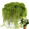 SHENERDA Fake Moss 300g Realistic Faux Greenery Fake Green Moss for Terrarium Planter Vase Succulents Home Wall Christmas Wedding Holiday Outdoor Fall Winter Party Aquarium competent